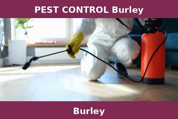 PEST CONTROL Burley